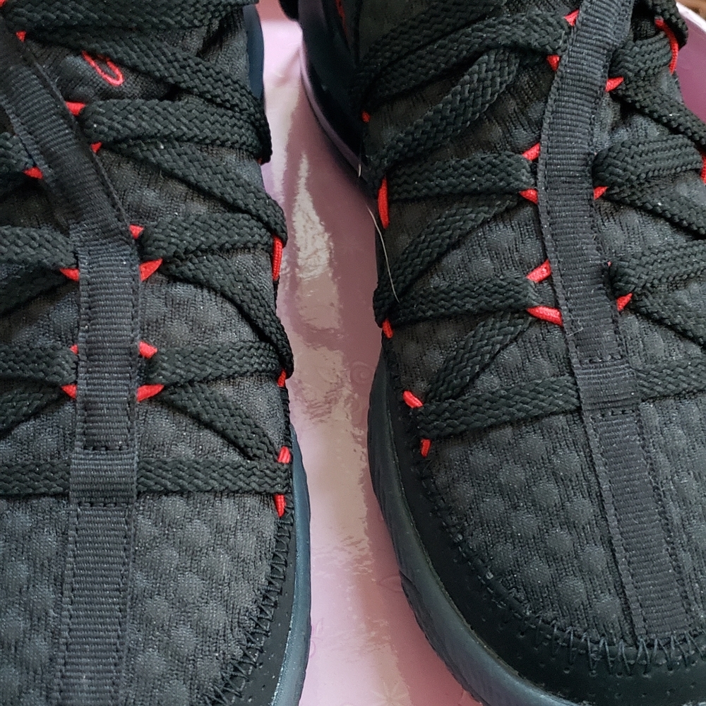 LeBron James  JL 2317